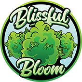 Blissful Bloom Cannabis